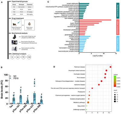 Effect of the ROCK inhibitor fasudil on the brain proteomic profile in the tau transgenic mouse model of Alzheimer's disease